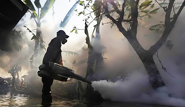 What is the effect of fumigation? 