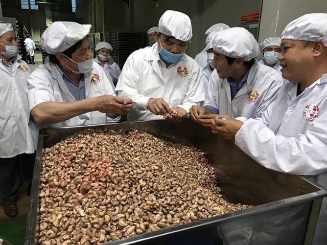 The cashew industry with, because ... the beetle burns