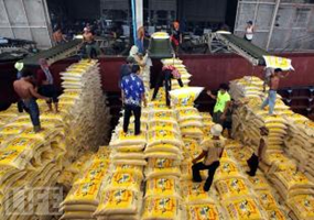 Giá gạo Thái Lan tăng, gạo Mỹ và gạo Việt Nam giảm