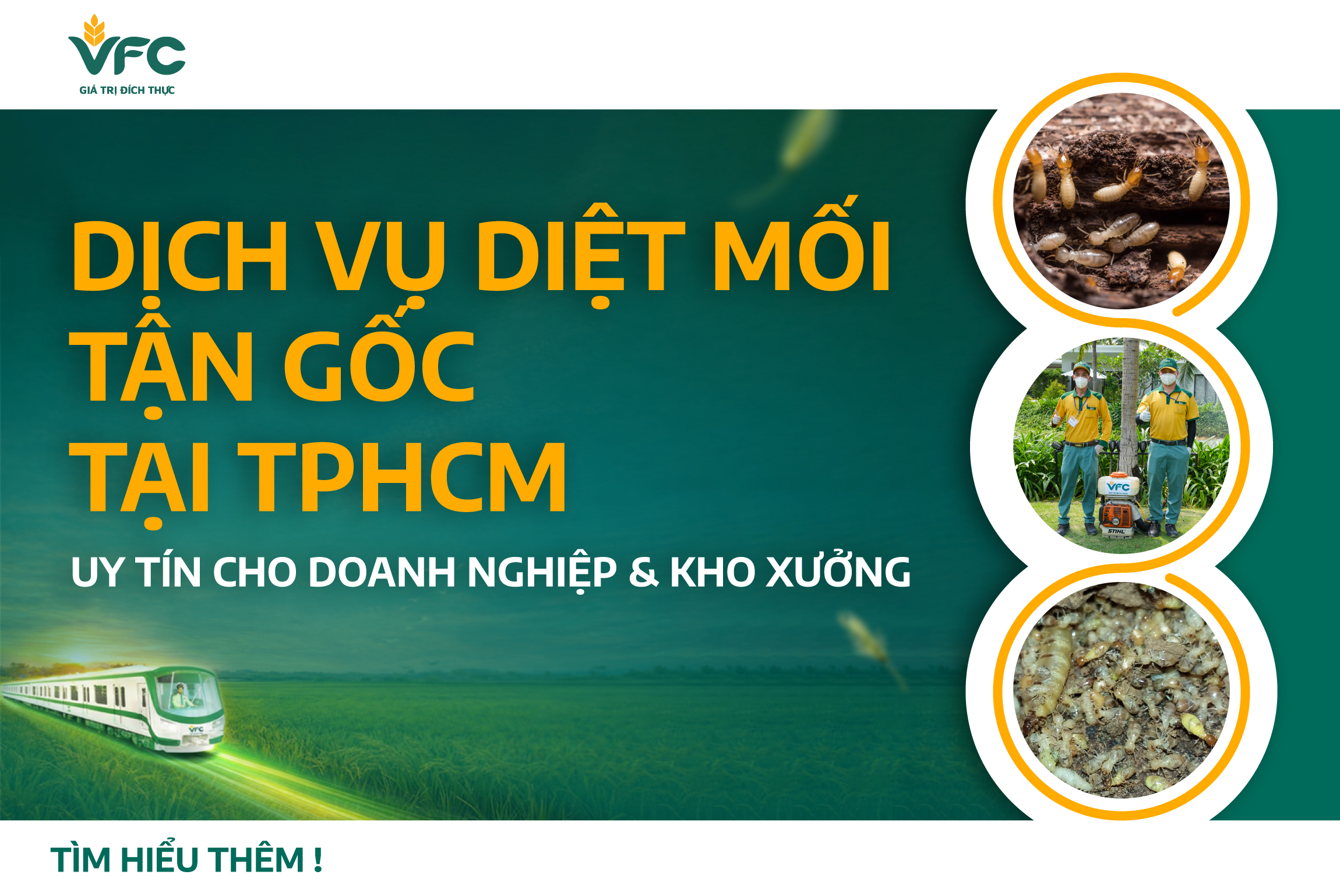 Dịch vụ diệt mối tận gốc tại TPHCM uy tín cho doanh nghiệp & kho xưởng
