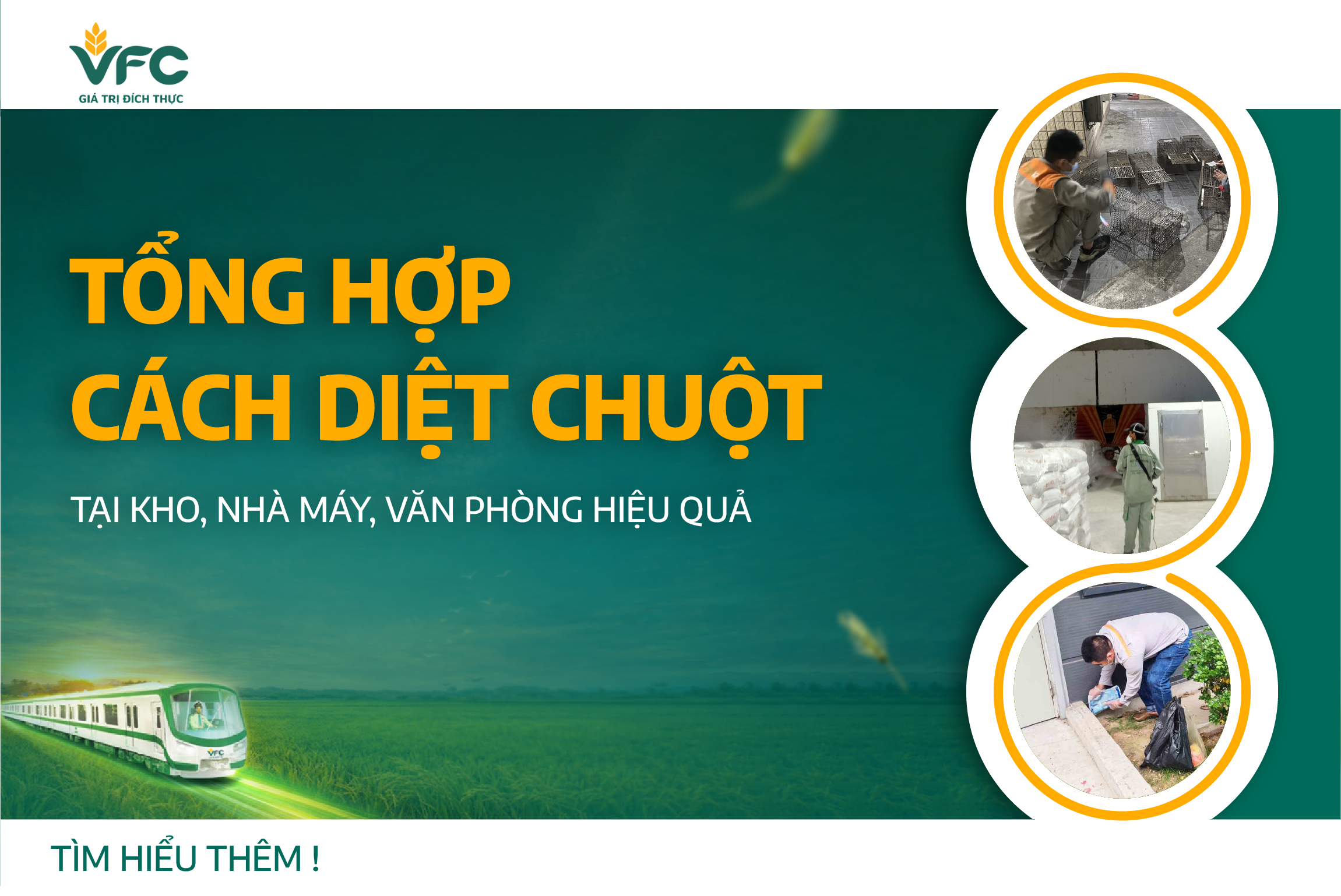 Tổng hợp cách diệt chuột tại kho, nhà máy, văn phòng hiệu quả