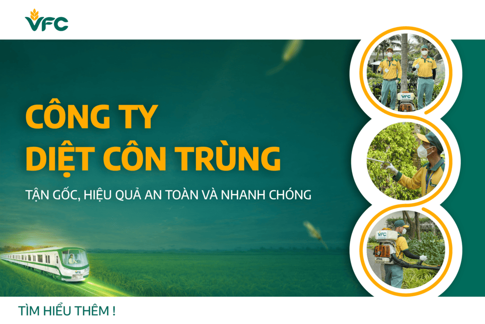 Công ty diệt côn trùng tận gốc, hiệu quả an toàn và nhanh chóng