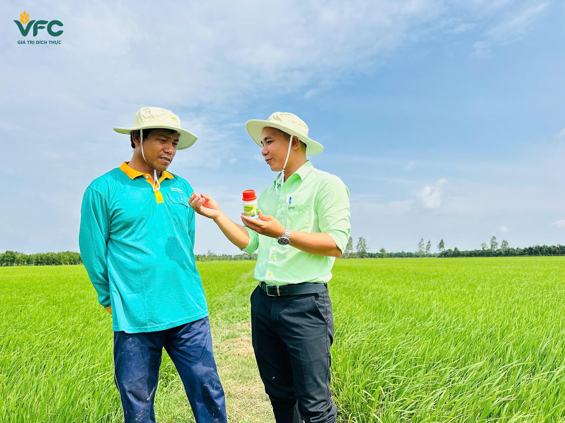 Ứng dụng giải pháp hữu cơ sinh học trong canh tác lúa