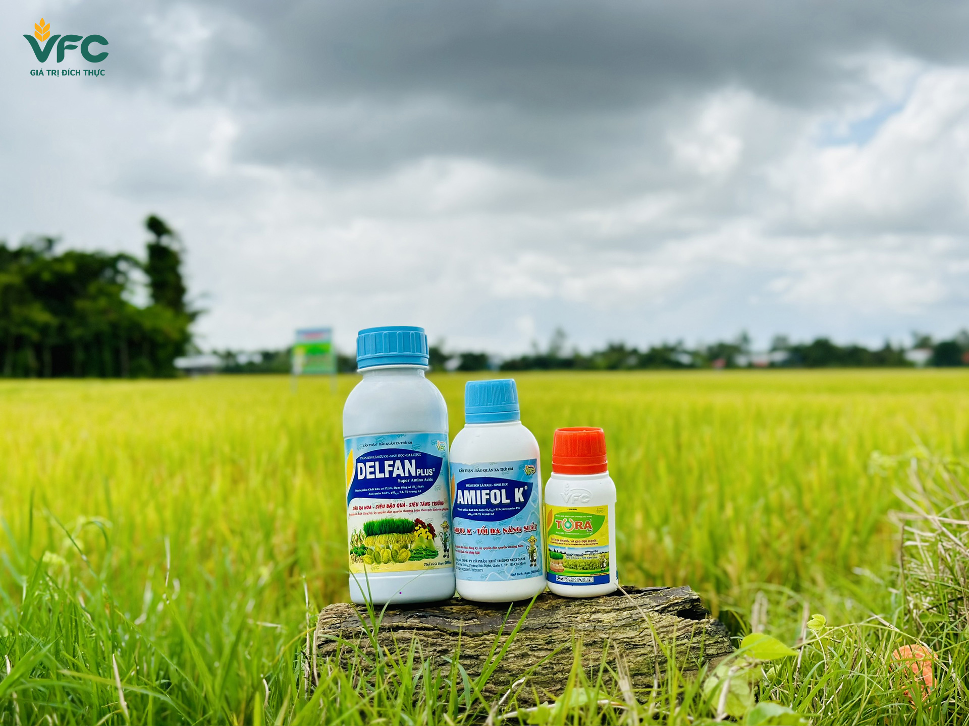 Giải pháp hữu cơ sinh học trong sản xuất nông nghiệp